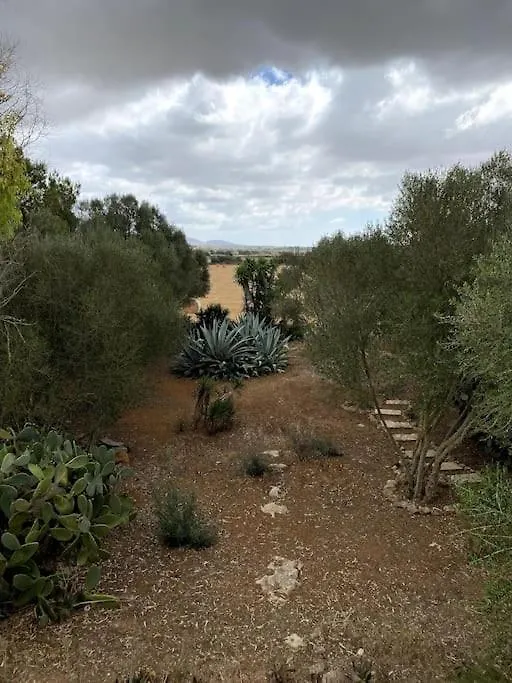 Casa vacanze Finca Casa Farah Ses Salines
