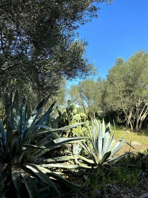 Finca Casa Farah Ses Salines
