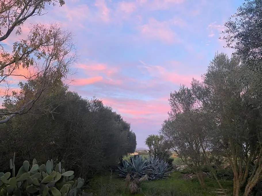 Finca Casa Farah Ses Salines  Σπίτι διακοπών