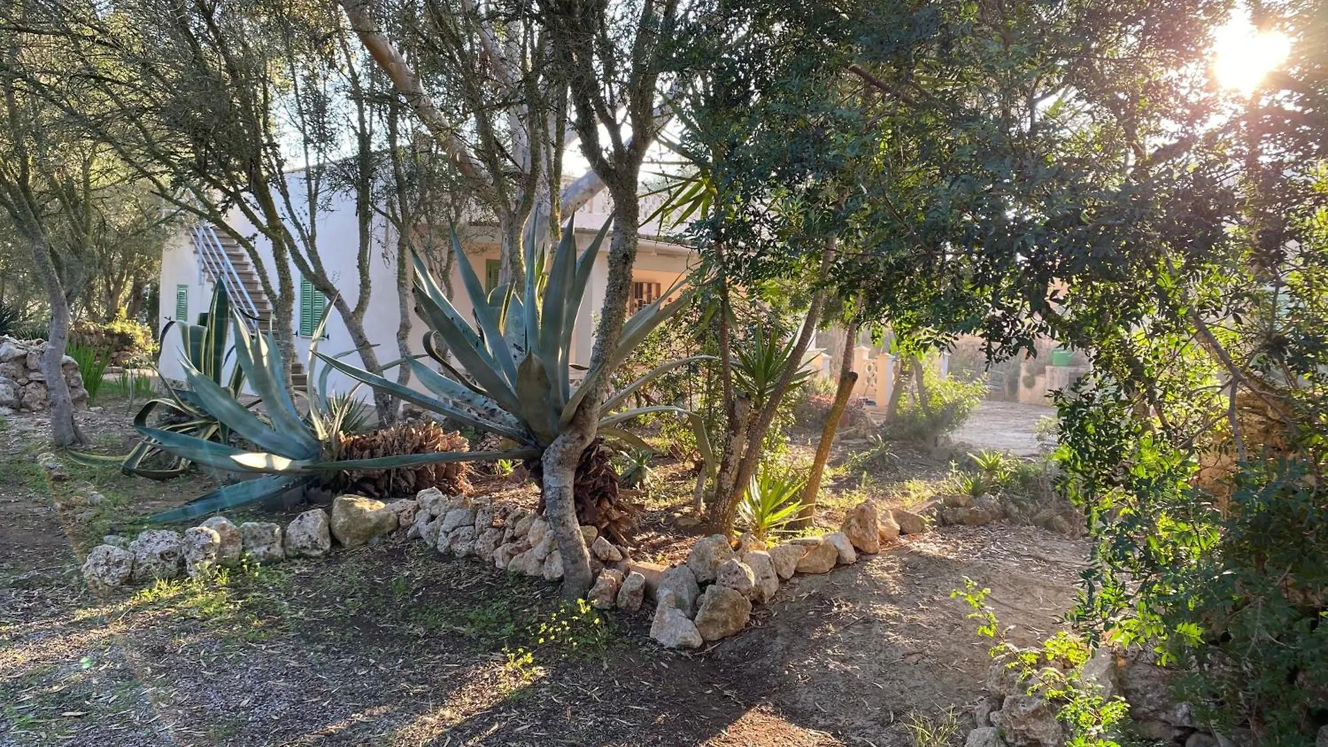 Casa vacanze Finca Casa Farah Ses Salines  Spagna