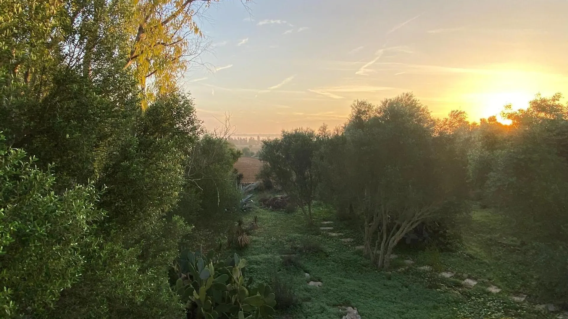 Finca Casa Farah Ses Salines  Spagna