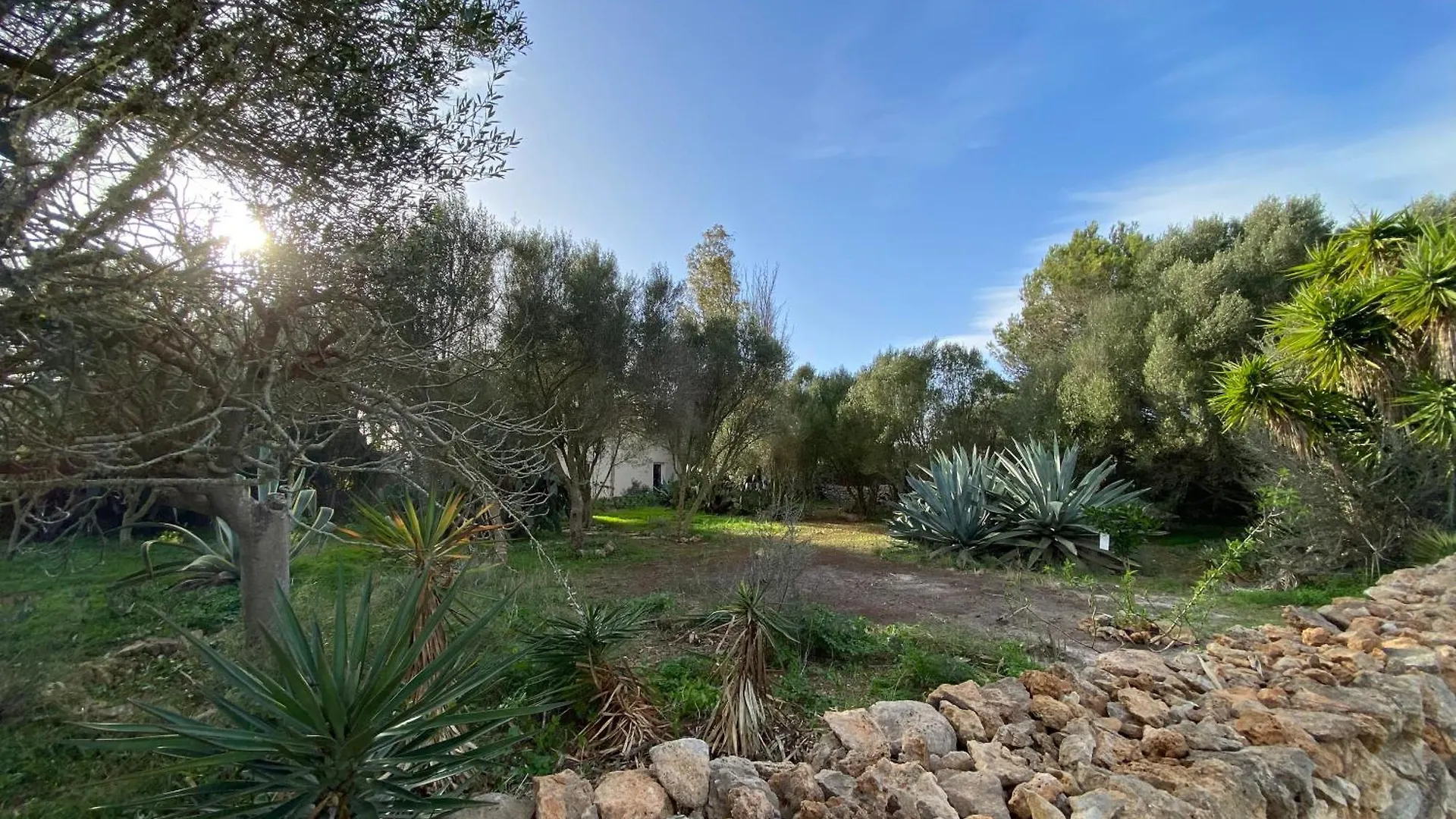 Finca Casa Farah Ses Salines  0*, Ses Salines (Mallorca) Ισπανία